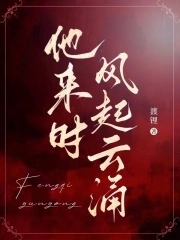 他来时风起云涌免费更新